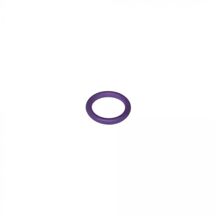 'O' RING (4E0260749B)